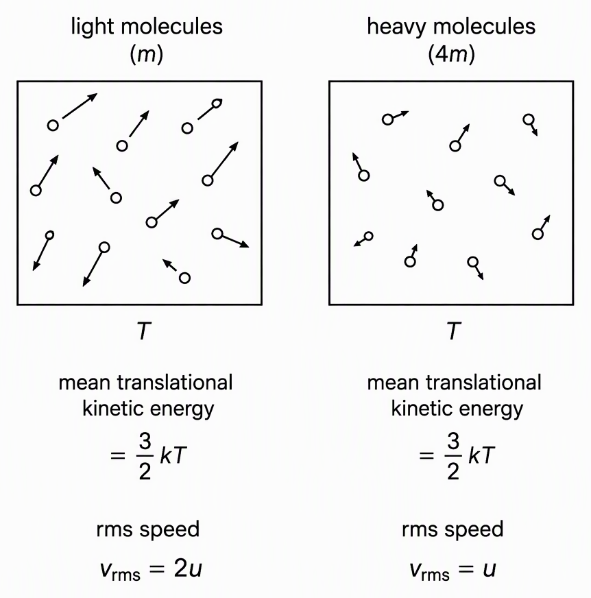 Two ideal-gas samples at the same temperature labelled T, with the left labelled light molecules and molecular mass m and the right labelled heavy molecules and molecular mass 4m, equal indicators labelled mean translational kinetic energy, and speed indicators labelled rms