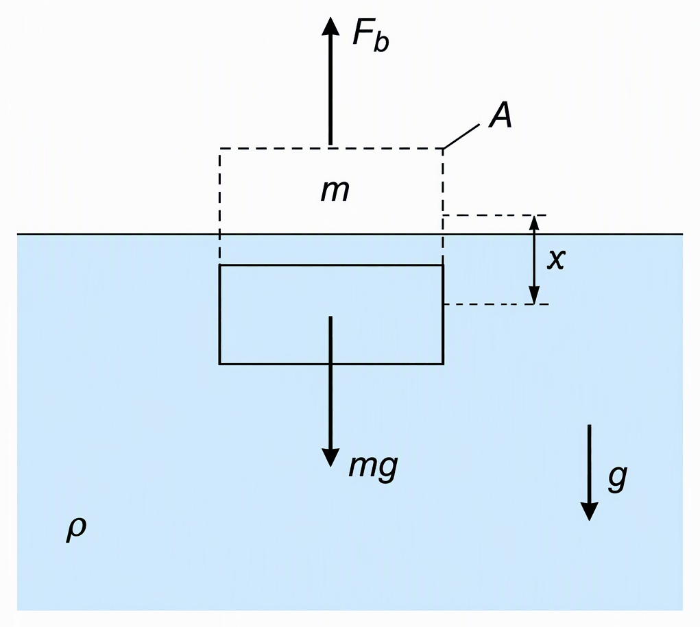 A rectangular block floating partly submerged in a liquid with a horizontal surface, using a dashed outline for its equilibrium position and a solid outline displaced downward by x, and label the block mass m, horizontal cross-sectional area A, liquid density ρ, downward