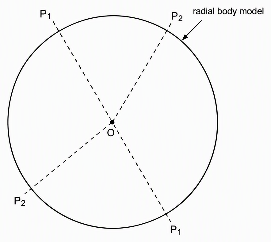 An idealised circular transverse outline labelled 'radial body model', mark its centre O as the central body axis perpendicular to the page, and show two differently oriented dashed diameters labelled P1 and P2 as the traces of planes through that axis, each dividing the outline