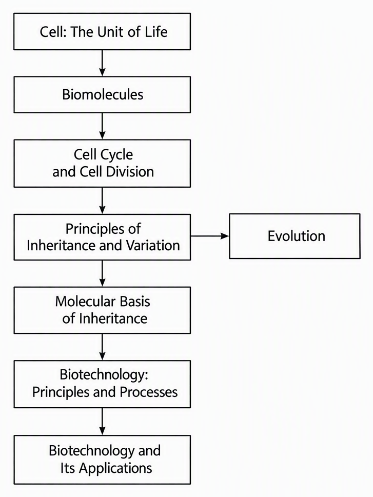 A prerequisite flowchart showing Cell: The Unit of Life leading to Biomolecules, then Cell Cycle and Cell Division, then Principles of Inheritance and Variation, then Molecular Basis of Inheritance, then Biotechnology: Principles and Processes and Biotechnology and Its
