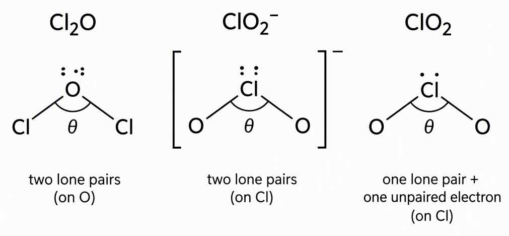 Three side-by-side bent connectivity sketches, not full Lewis structures or scale drawings, labelled Cl₂O with Cl–O–Cl connectivity and central O, ClO₂⁻ with bracketed O–Cl–O connectivity, an overall minus charge and central Cl, and ClO₂ with O–Cl–O connectivity and central Cl