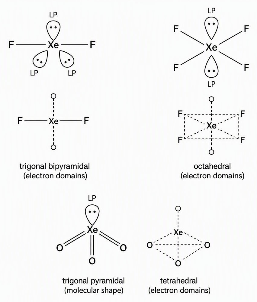 Three labelled VSEPR panels showing linear F–Xe–F in XeF₂ with three equatorial lone pairs in a trigonal-bipyramidal electron-domain arrangement, square-planar XeF₄ with four coplanar F atoms and two opposite axial lone pairs in an octahedral electron-domain arrangement, and
