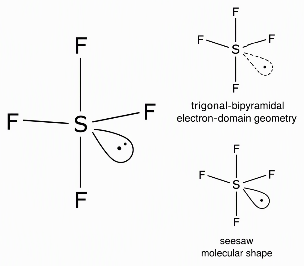 Sulfur tetrafluoride with central S, two axial F atoms above and below, two equatorial F atoms and one equatorial lone-pair lobe, with labels identifying trigonal-bipyramidal electron-domain geometry and seesaw molecular shape.