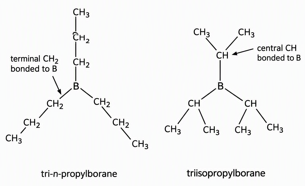 Side-by-side connectivity diagrams of tri-n-propylborane and triisopropylborane with all three alkyl groups shown, label each compound, and highlight one B–C bond in each with the respective labels 'terminal CH2 bonded to B' and 'central CH bonded to B'.