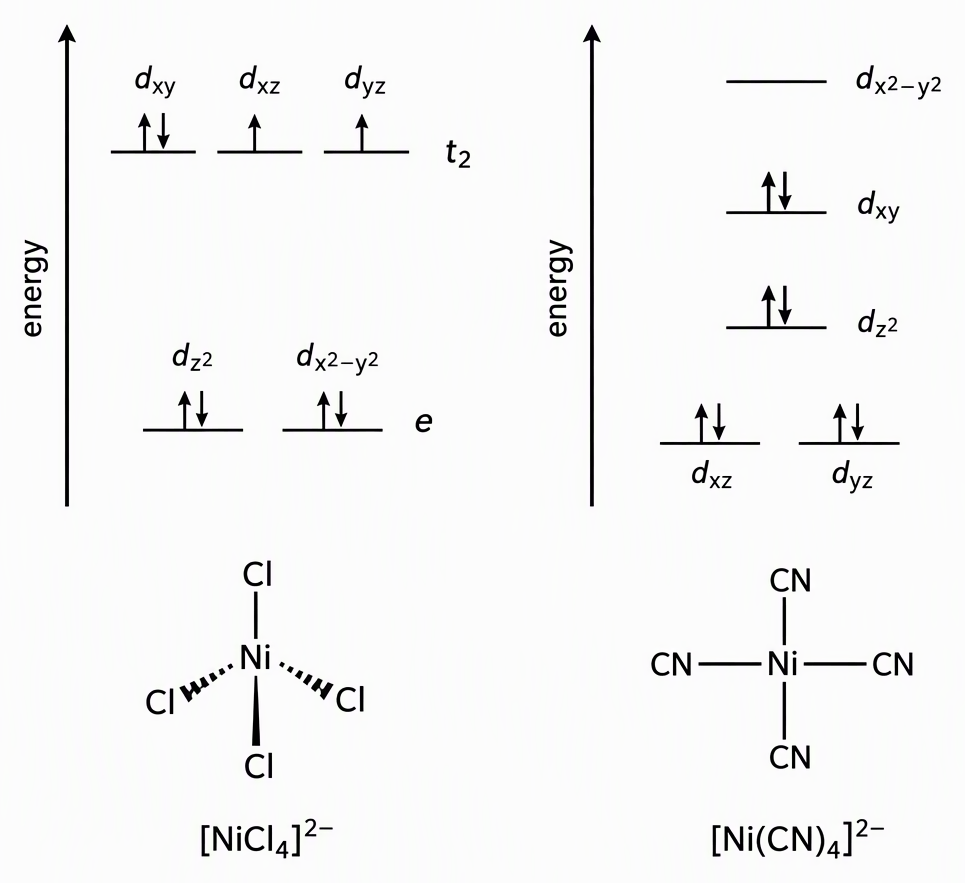 Two labelled d-orbital energy-level panels with energy increasing upward, tetrahedral nickel(II) chloride showing lower e orbitals each paired and upper t2 orbitals occupied by one pair and two single electrons, and square-planar nickel(II) cyanide showing paired dxz and dyz