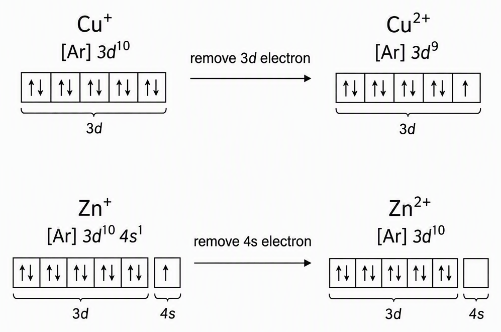 Two parallel second-ionisation pathways showing Cu+ labelled [Ar] 3d10 becoming Cu2+ labelled [Ar] 3d9 by removal of a 3d electron, and Zn+ labelled [Ar] 3d10 4s1 becoming Zn2+ labelled [Ar] 3d10 by removal of a 4s electron.