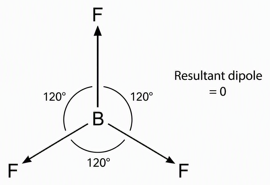 Trigonal-planar BF₃ with boron at the centre, three fluorine atoms separated by 120 degrees, equal bond-dipole arrows pointing from B towards each F, and a label stating zero resultant dipole.