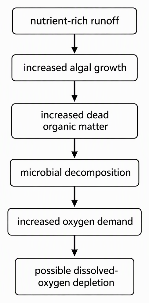 A causal flow chart labelled nutrient-rich runoff, increased algal growth, increased dead organic matter, microbial decomposition, increased oxygen demand and possible dissolved-oxygen depletion, with arrows connecting the stages in that order.